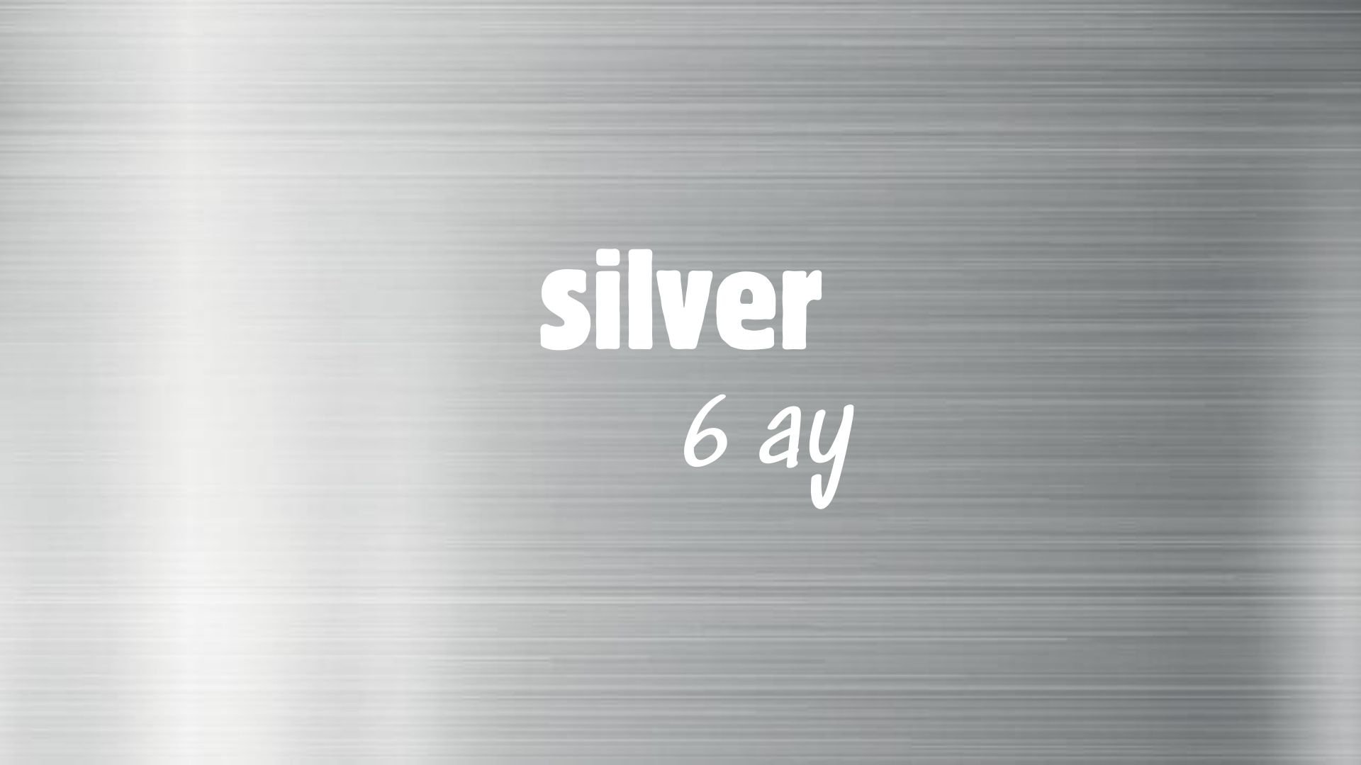 Silver - 6 Ay